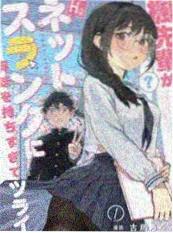 漫画拾荒者手记封面